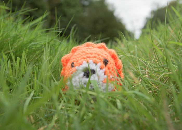 Little Lion are you dancing tonight?